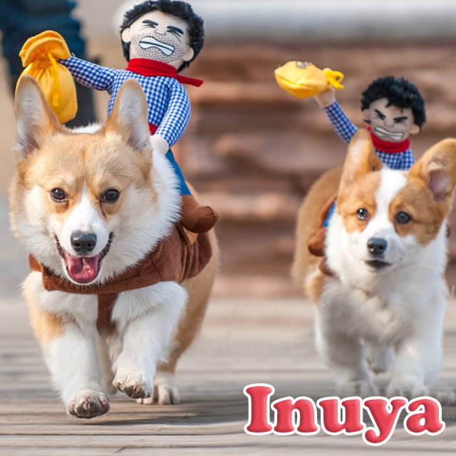 楽天市場】【サンタ ロデオ】 犬服 トナカイ コスプレ 秋 中型犬
