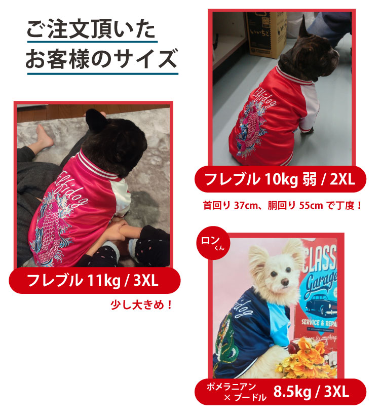 最大71％オフ！ 在庫限り 小型犬 スカジャン 犬 犬服 冬服 防寒 暖か おしゃれ 龍 鯉 刺繍 秋 冬 ワイルド かっこいい アウター ジャケット  www.okayama-keiei.jp