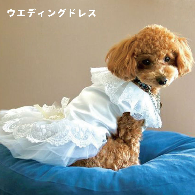 楽天市場】犬服 【 ワンピース ドレス パール 】 小型犬 かわいい