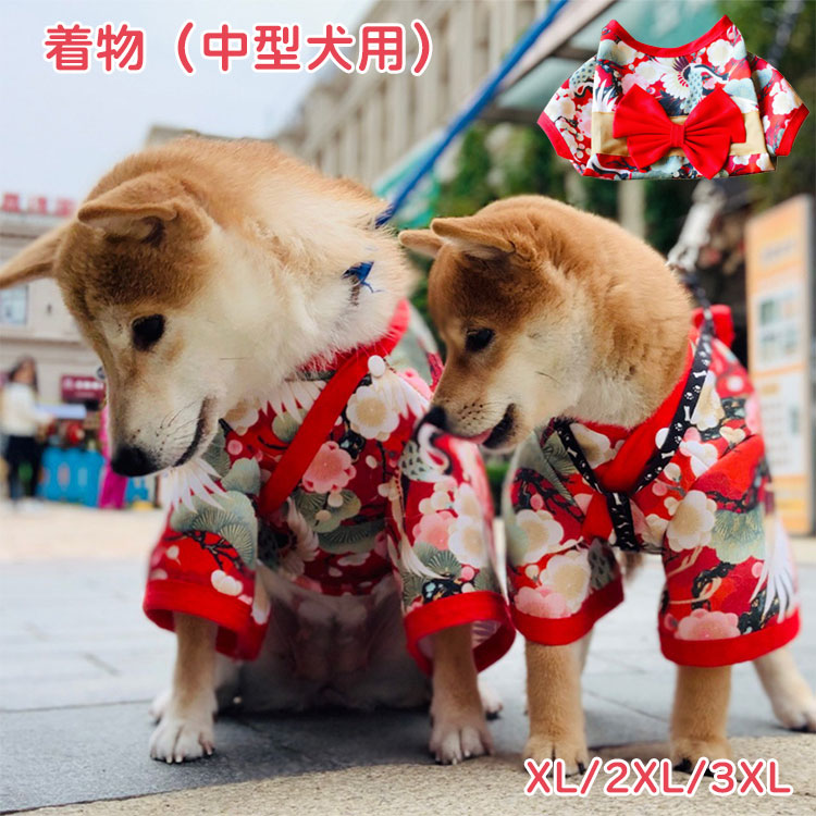 犬用和装　お正月 七五三 結婚式 サンプル品 犬 服 犬服 着物 柴犬 中型犬 人気 愛犬用袴 七五三 お正月 結婚