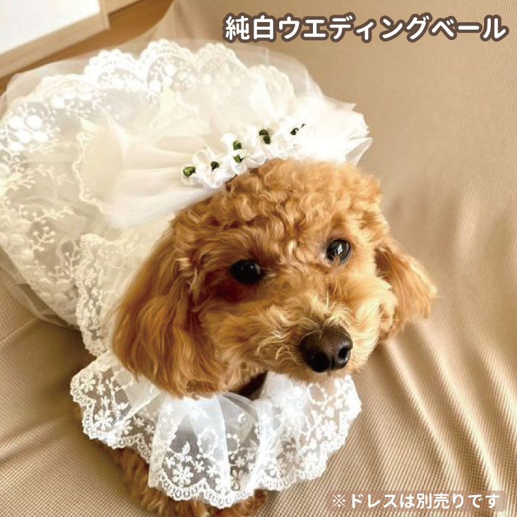 プードル ビションフリーゼ 犬 ドッグ ヘアピン