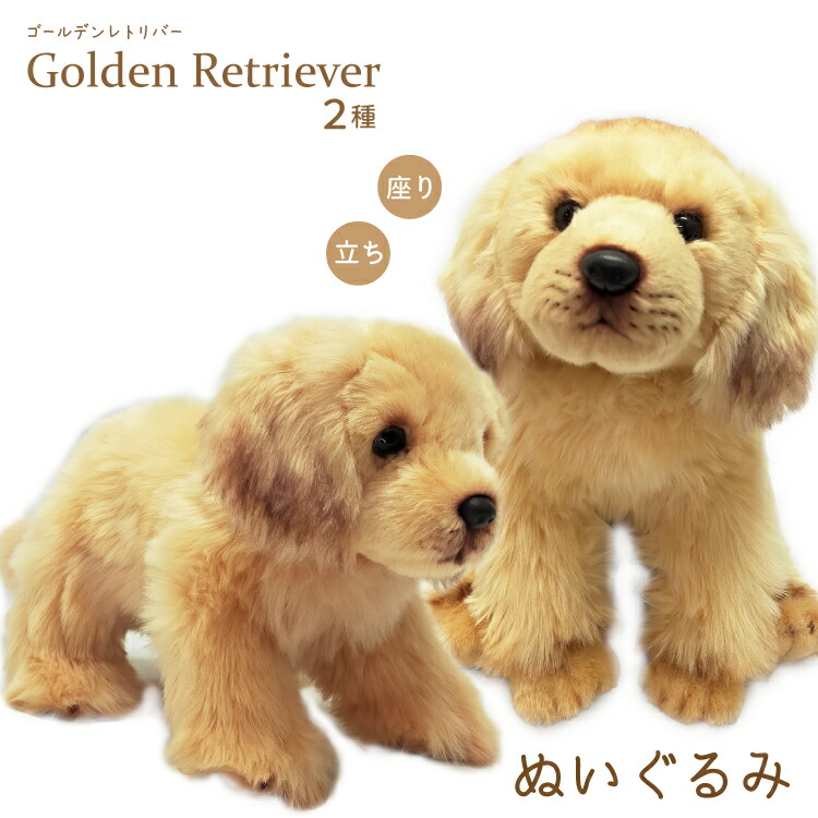 楽天市場】ぬいぐるみ ゴールデンレトリバー ゴールデン・レトリーバー