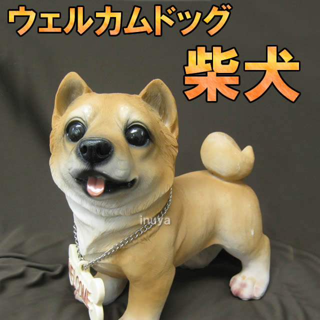 楽天市場 あす楽 犬 置物 ウェルカムドッグ 柴犬 H01 雑貨 売り切り 犬屋 ギフト プレゼント 犬屋楽天市場店