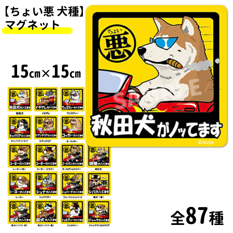 楽天市場】ステッカー 【 犬 ノッてます 長方形 】 柴犬 コーギー バーニーズ ポメラニアン ラブラドール プードル パピヨン フレブル ダックス  ボストンテリア シーズー マルチーズ チワワ ヨークシャーテリア 可愛い かわいい カーステッカー 車 くるま 犬屋 いぬや ...