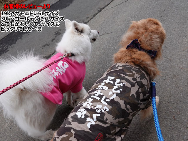【楽天市場】おもしろコメント 犬服 Tシャツ S～2Lサイズ 小型犬 犬屋 オリジナル デザイン 春夏 ( チワワ ヨーキー トイプードル