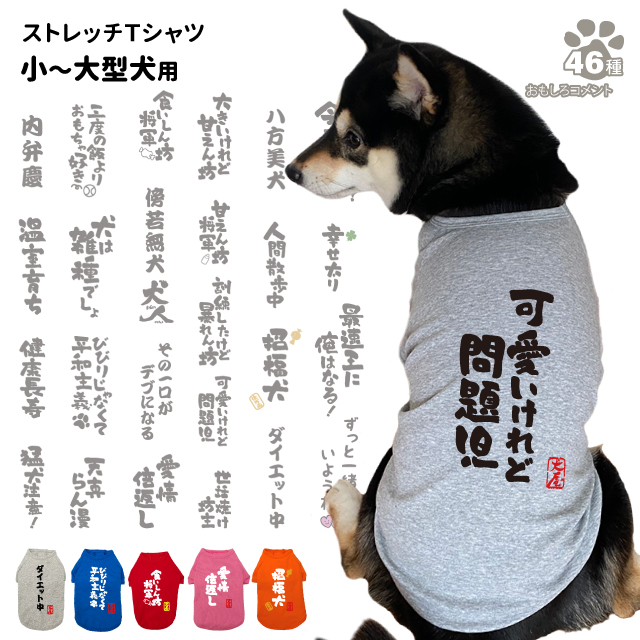 楽天市場】【 名入れ 犬服 のびのび ストレッチ Ｔシャツ ボーン