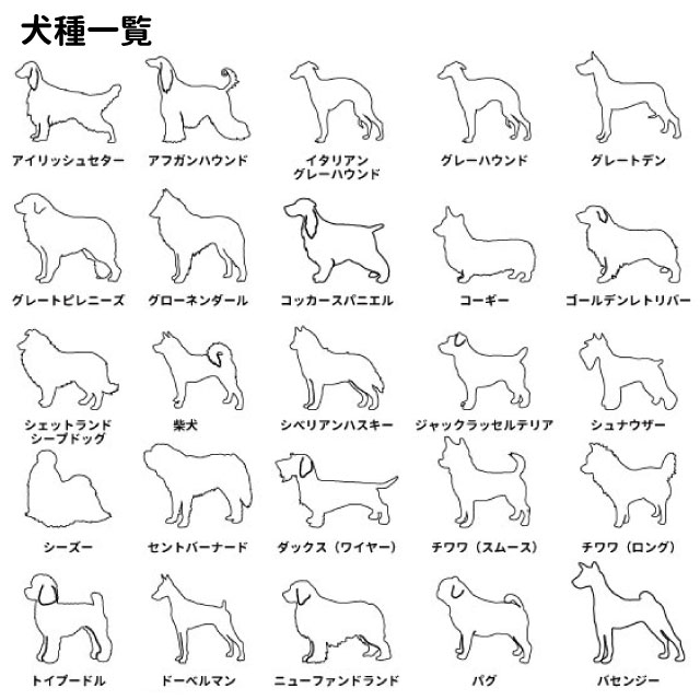 トートバッグ Mサイズ スペース柄 お散歩バッグ キャンバス プレゼント 正方形 宇宙 星空 星 Cab1508 ほし デザイン チワワ 夜空 お誕生日