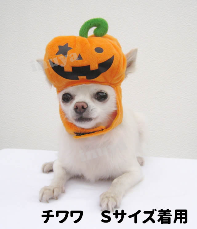 楽天市場 ハロウィン キャップ 犬 帽子 キャップ パーティー かぶりもの コスプレ 小型犬 かぼちゃ パンプキン ハロウィン グッズ 犬屋 ポンポリース 送料無料 犬屋楽天市場店