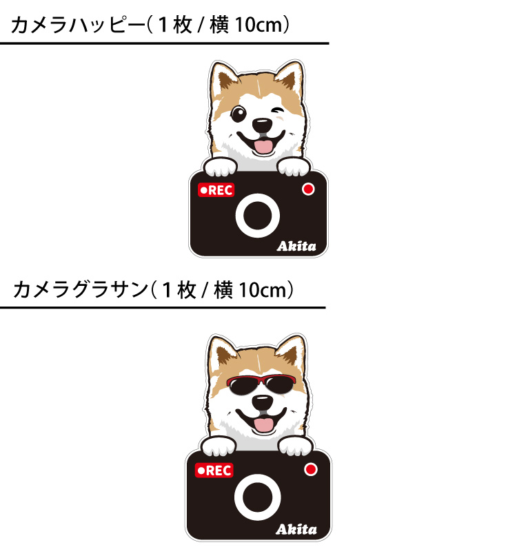 T1xvj9 O Q 51m