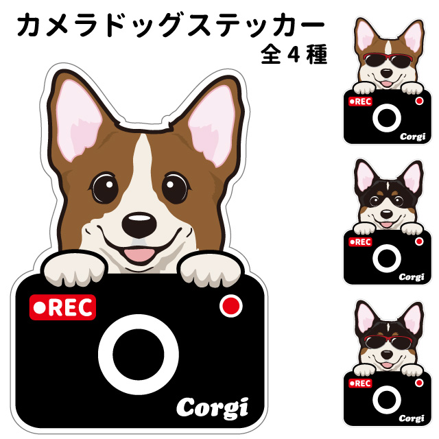 楽天市場 コーギー ステッカー カメラドッグ 犬 犬屋 いぬや ドライブレコーダー 可愛い かわいい 車用 ドラレコ あおり運転 防止 窓 録画 おでかけ 犬屋楽天市場店