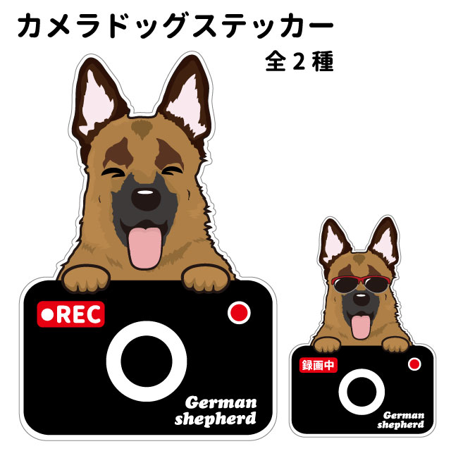 楽天市場 ジャーマンシェパード ステッカー カメラドッグ 犬 犬屋 いぬや ドライブレコーダー 可愛い かわいい 車用 ドラレコ あおり運転 防止 窓 録画 おでかけ 犬屋楽天市場店