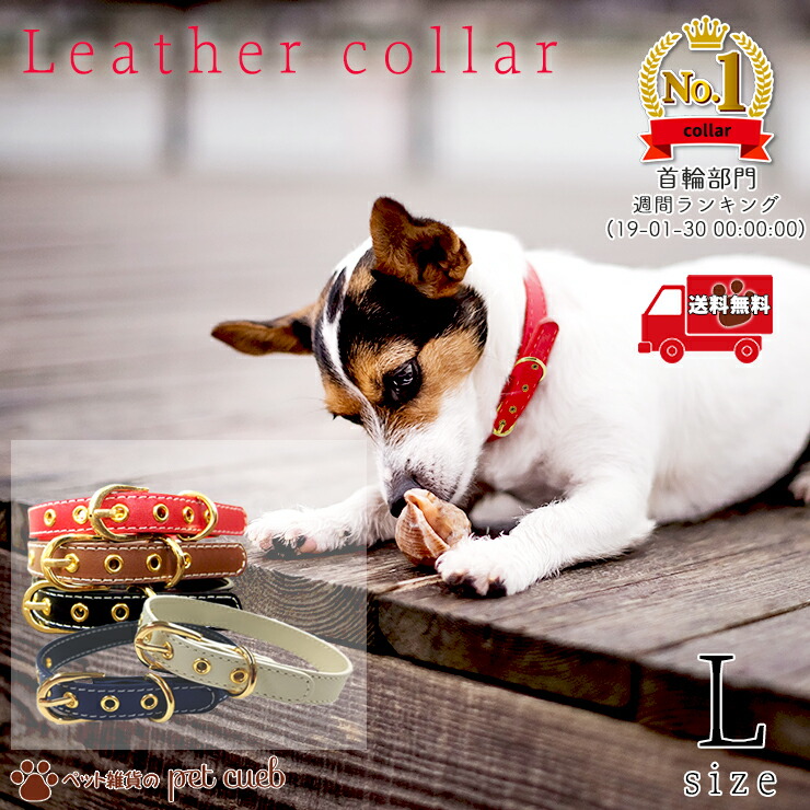 楽天市場】【スーパーセール10％OFF】ランキング1位 獲得☆ 犬 猫 首輪