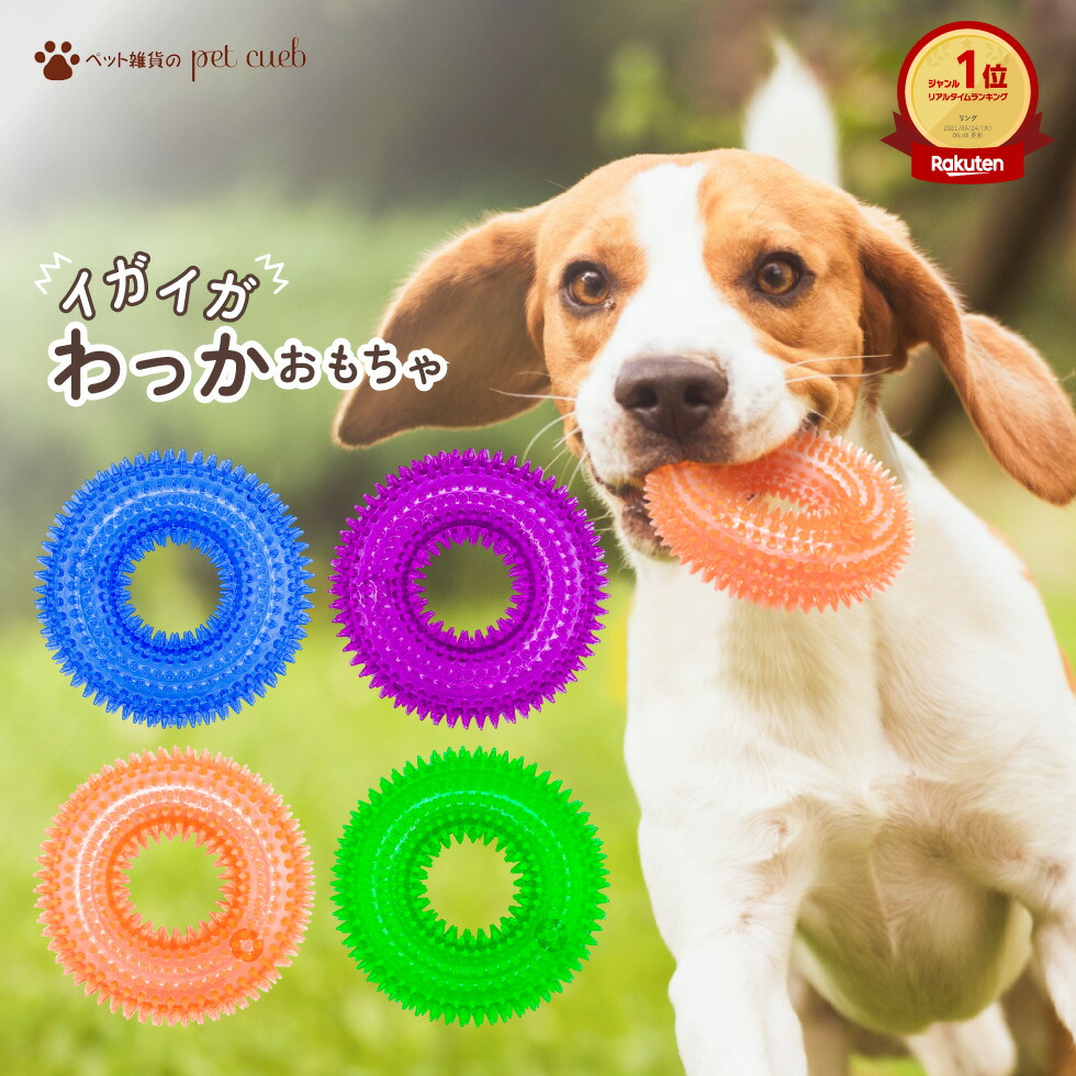 楽天市場】輪っか ボール リング 音が鳴る おもちゃ 選べる S M ペット