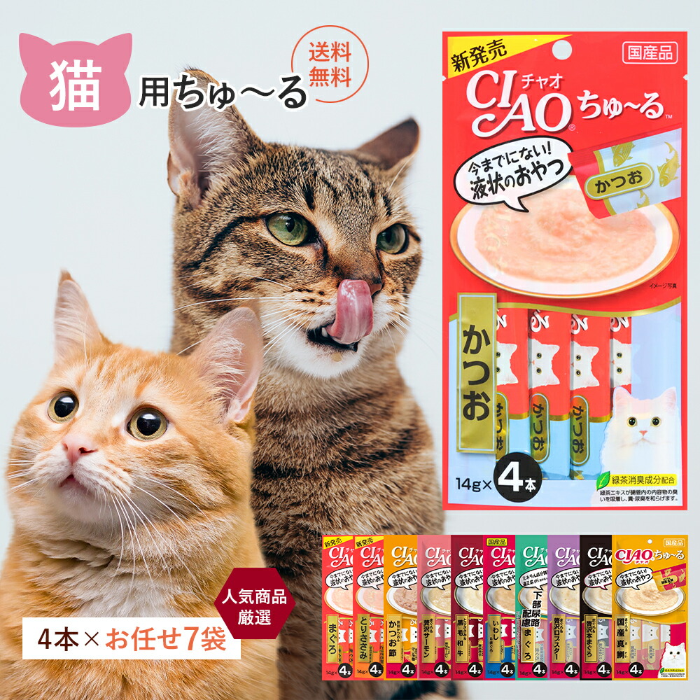 ちゅ〜る まぐろ・とりささみバラエティ 14g×30本×16個×2 Amazon.co.jp: チャオ (CIAO) ちゅ~るごはん まぐろ・ささみ