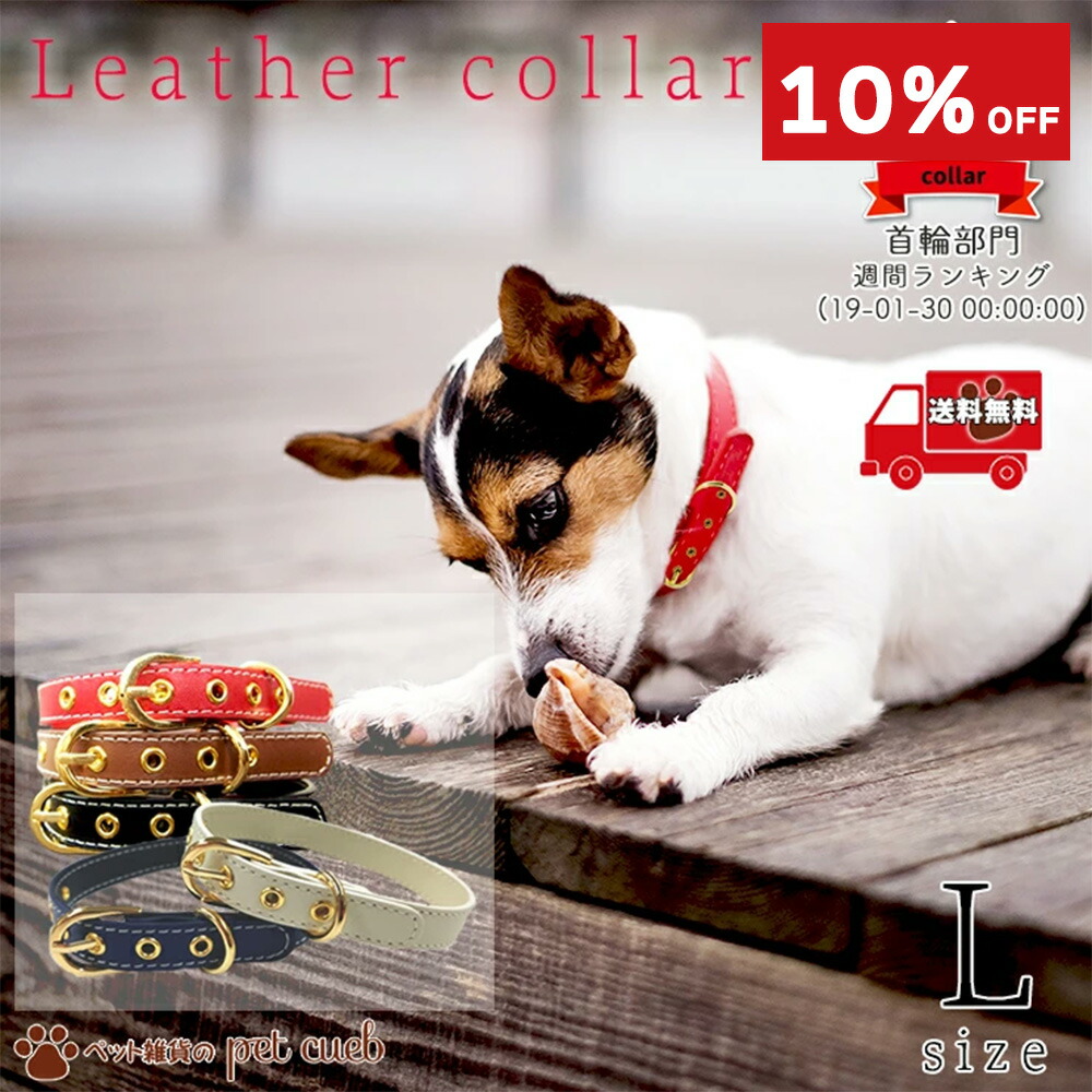 楽天市場】【今だけ！20％OFF】【在庫限り】ポスト投函便送料無料