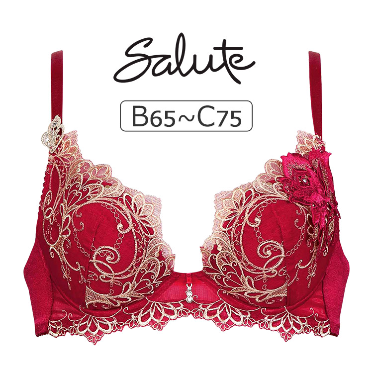 ワコール　サルート03g H70 ワコール Wacoal サルート Salute 24SS 03G PTJ703 ショーツ ML