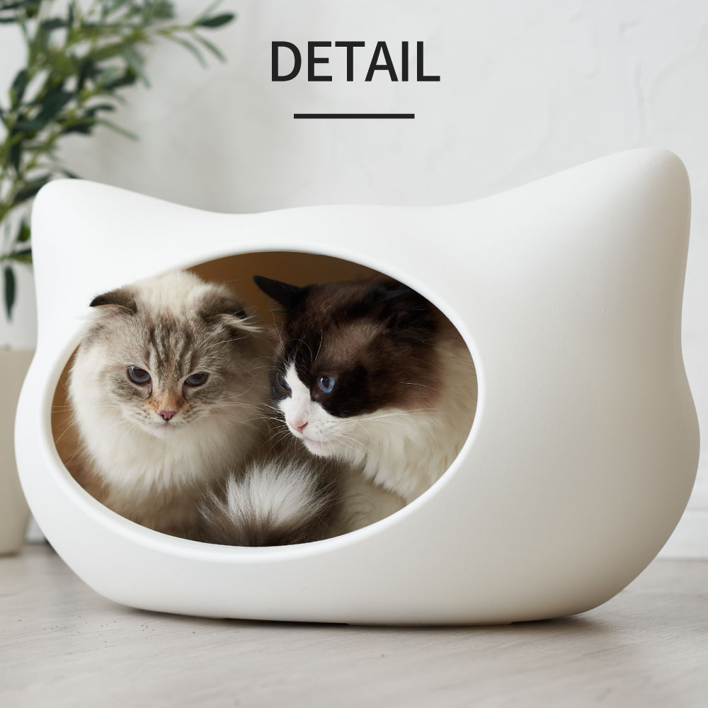 【OFT】 ねころん(クッション付き) ベッド ペット 猫 犬 ハウス クッション ねこ おしゃれ 小型犬 洗える 白 かわいい 涼しい 固い 丈夫 夏 冬 インテリア マット 春 秋 通年 ネコベッド 白 ホワイト