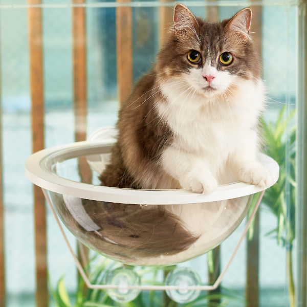楽天市場 年末特価ｾｰﾙ キャットクリアカプセル プラネット ウインドウベッド 猫 ネコ ねこ ベッド 窓 Ip Plus