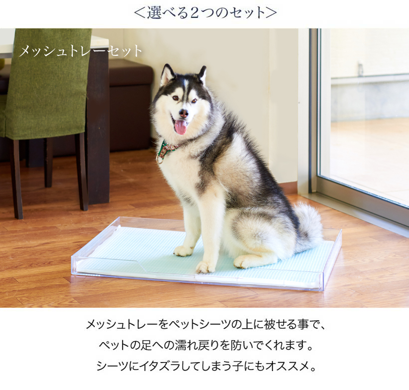 Oft 正規品 クリアレット2 L スーパーワイドシーツサイズ おすすめ ランキング 人気 ロングセラー トレー おしゃれ パピー 犬 トイレ おしゃれ 透明 ドッグ アクリル デザイナーズ Sermus Es