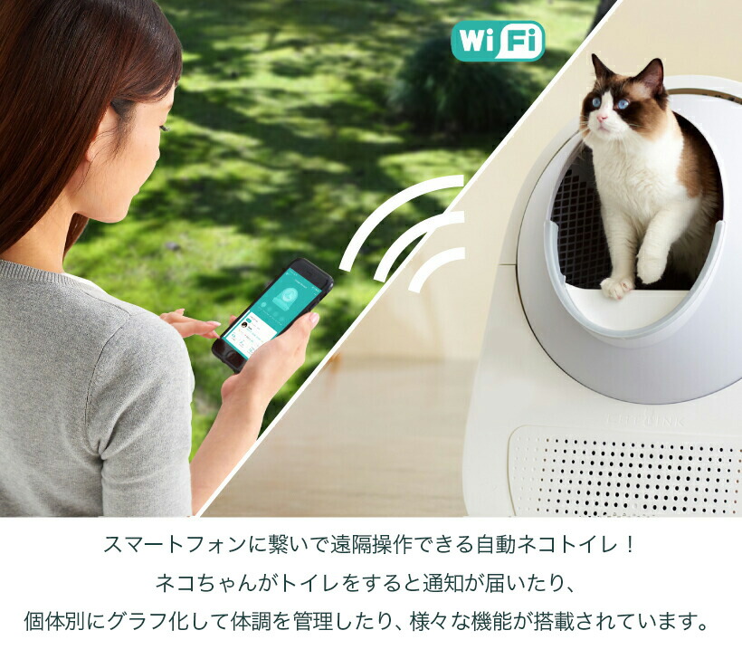 コカイン 後世 気怠い 猫 流し台 で トイレ Nawa Kolkata Org