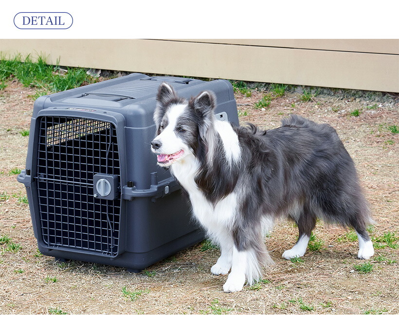 市場 アウトドアフェア特価 L80 7 ペットケンネル ブラックエディション 18まで 小型犬 ファーストクラス 中型犬 大型犬 おしゃれ おすすめ