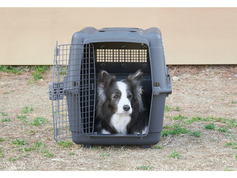 市場 アウトドアフェア特価 L80 7 ペットケンネル ブラックエディション 18まで 小型犬 ファーストクラス 中型犬 大型犬 おしゃれ おすすめ