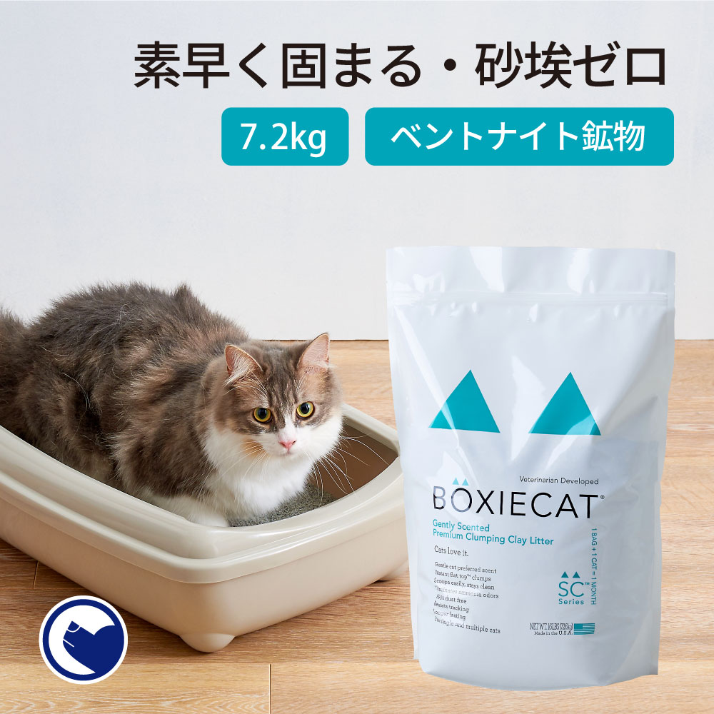 楽天市場】【OFT】 [猫砂 BOXIECAT ボクシーキャット ブルー 7.2kg 