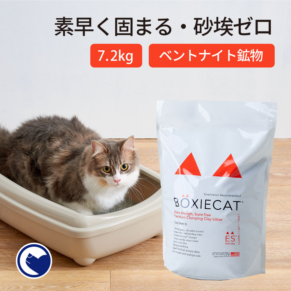 楽天市場】【OFT】 [猫砂 BOXIECAT ボクシーキャット ブルー 7.2kg