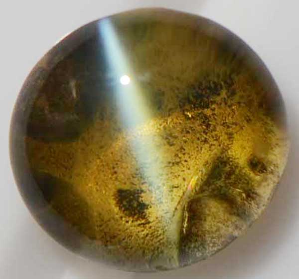 楽天市場】クリソベリル キャッツアイ 2.58 カラット 1 : K.Y.FACTORY