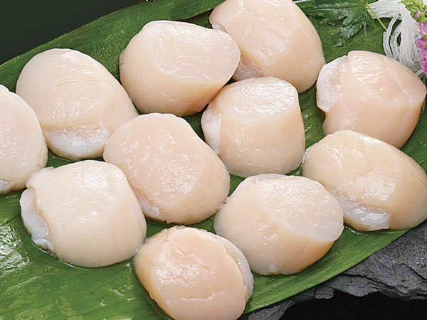 天然ホタテ貝柱（生冷凍）1kg送料無料 北海道オホーツク産｜北の逸品・北海道
