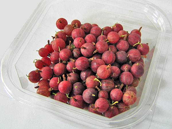 グーズベリー（生果実）1kg<br>(グスベリ グースベリー)<br>送料無料 北海道産<br>8月上旬から発送開始<br>