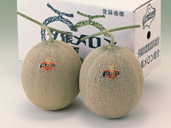 【yoshi】【共撰品】夕張メロン　優品6玉入8kg箱 夕張メロン 優品6玉入 | 夕張メロン 大箱（元箱） | 夕張メロン