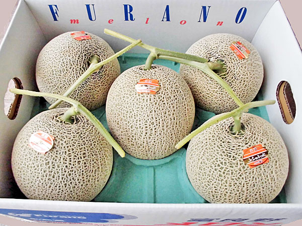 【送料無料】北海道産<br>富良野メロン(秀品)1.6kg×5玉<br>7月中旬発送開始！<br>【お中元　ギフト】<br>