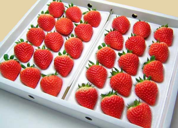 【送料無料　北海道産】<br>夏いちご（2L-L・300g）×4トレー<br>(1トレーあたり15～24粒)<br>6月中旬発送開始！