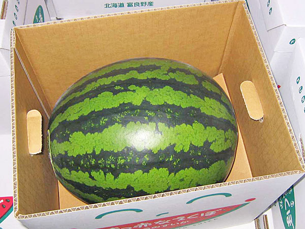 【送料無料　北海道富良野産】<br>真っ赤なえくぼスイカ（紅まくら)<br>秀品Lサイズ(6～7Kg)×１玉<br>7月中旬発送開始！<br><br>【沖縄県、一部離島は別途追加送料500円を加算させていただきます。】<br><br>