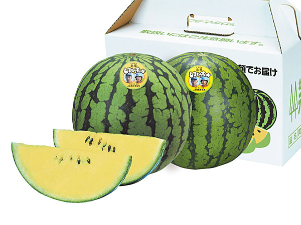【送料無料　北海道北竜産】<br>ひまわり西瓜(秀 1.3Kg）×2玉<br>7月上旬発送開始！<br>
