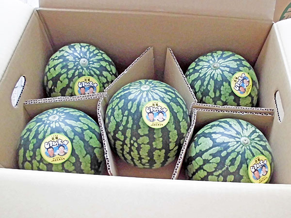 【送料無料　北海道北竜産】<br>ひまわりスイカ<br>秀品(1玉1.6Kg）×5玉<br>7月上旬発送開始！<br><br>【沖縄県、一部離島は別途追加送料500円を加算させていただきます。】<br><br>