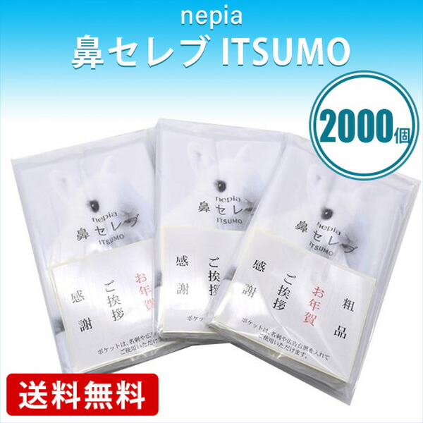 名入れうちわ特集 事あたらしい＆既製柄｜100本から申しつける聞き届ける・短納期相応う 日用消耗品-日用品雑貨・文房具・手芸-ポケットティッシュ