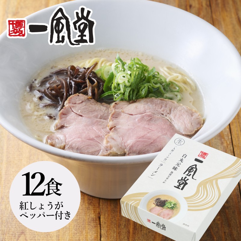 【本格生麺】一風堂 白丸 12食セット まとめ買い 3%割引 業務用 博多 とんこつ ラーメン 細麺 細めん マラソン 買い回り 訳あり おうちでIPPUDO