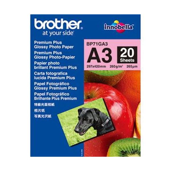 （まとめ）茶飲み友だち 活動写真光輝紙 A3BP71GA3 1冊（20枚）【×3仕かける】
