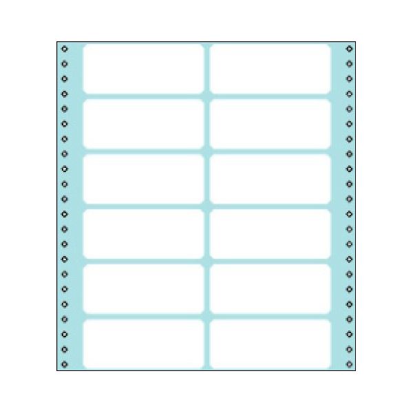 コクヨ 年代順の連続勘定書き質問用紙（タック質問用紙）横10×縦11in（254.0×279.4粍）12片 ECL-326 1容器に並べる（100居敷き） その他-コピー用紙・印刷用紙