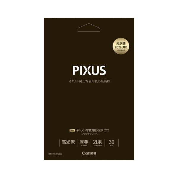 (まとめ) キヤノン Canon 活動写真質問用紙・光輝 労働者階級 (プラチナ点数) 印画紙印字機 PT-2012L30 2L判 8666B010 1冊（30枚）  【×10仕かける】