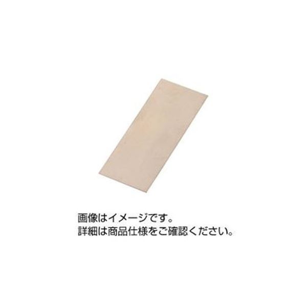 （まとめ）試験用金属元素板 Ｎｉ板50×60粍 停留所絶無 B-28 【×10仕掛ける】