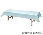 フリーサイズ診察台カバー 青 1100×2300mmNC8-7026-018-7026-02 　送料込み！