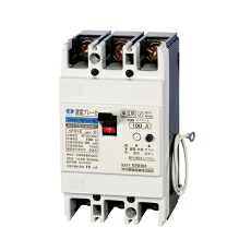河村電器 ZS103-100TLA100 漏電ブレーカ(単３中性線欠相保護付)　ZS｜IPX店