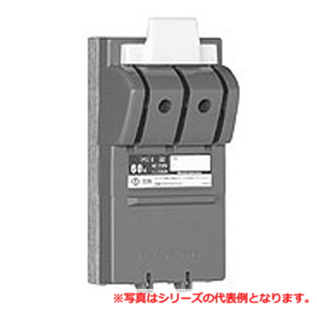日東工業 CKL2P300A ＣＫＬカバースイッチ