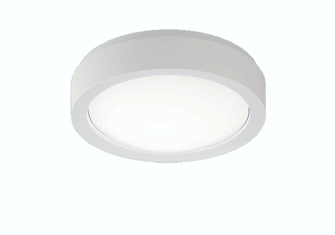 パナソニック NWCF16120LE1 天井直付型・壁直付型 LED（昼白色） シーリング階段灯（ブラケット兼用型）・階段通路誘導灯・非常用照明器具 30分間タイプ 防雨型・自己点検スイッチ付・リモコン自己点検機能付