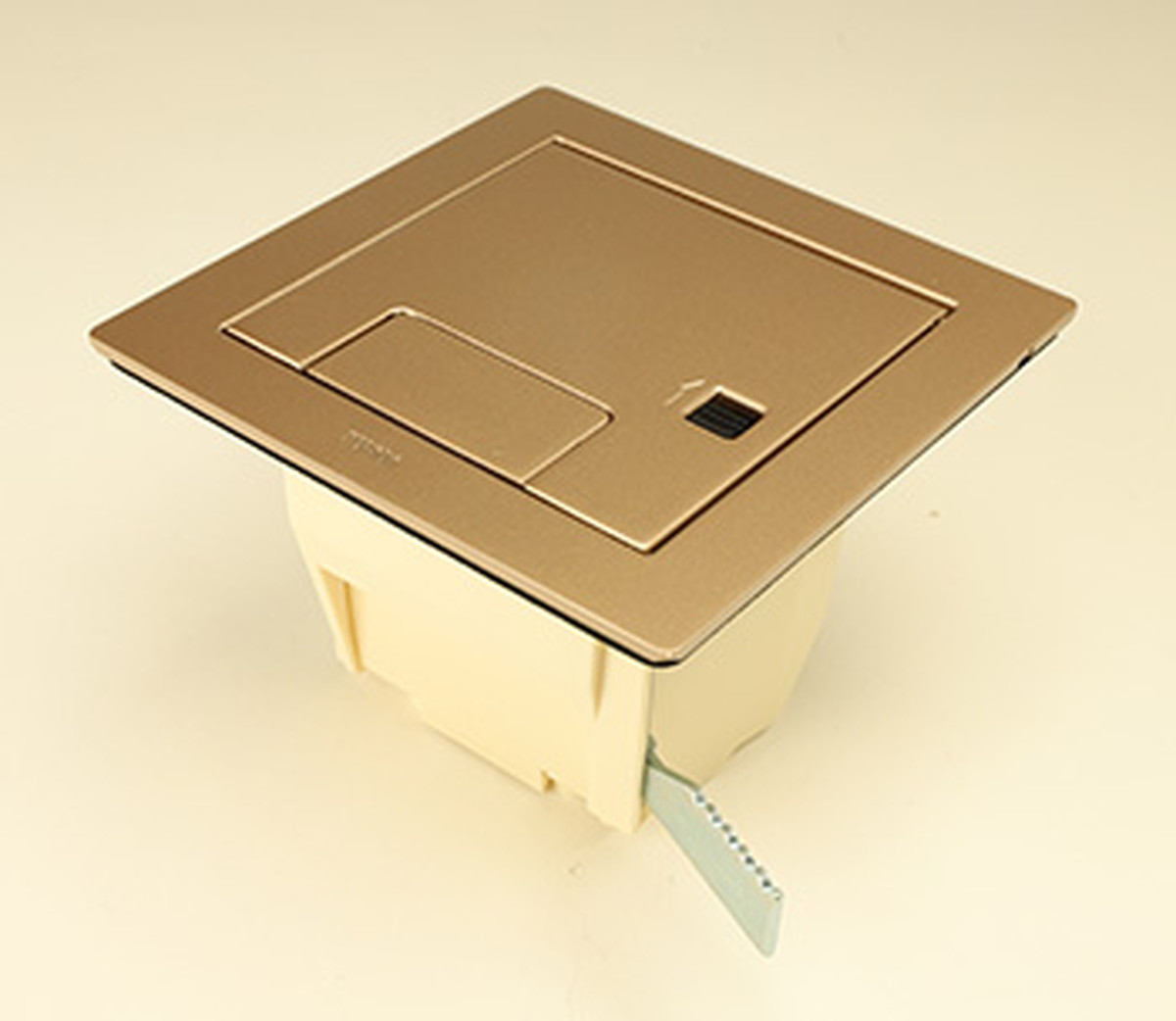 寺田電機製作所 CEA80000M020 ボックス+プレート（シャンパンゴールド） TERADA