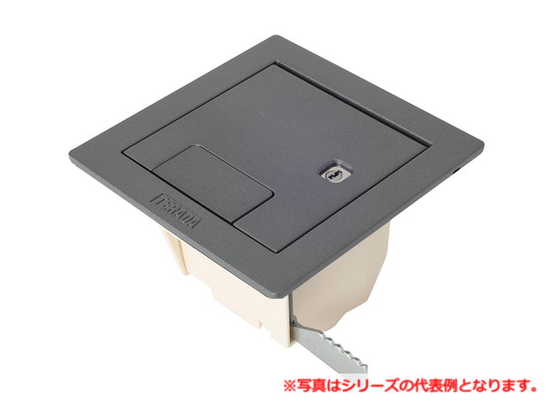 寺田電機製作所 CEA81000K ボックス+カギ付きプレート（シルバーメタリック） TERADA｜IPX店