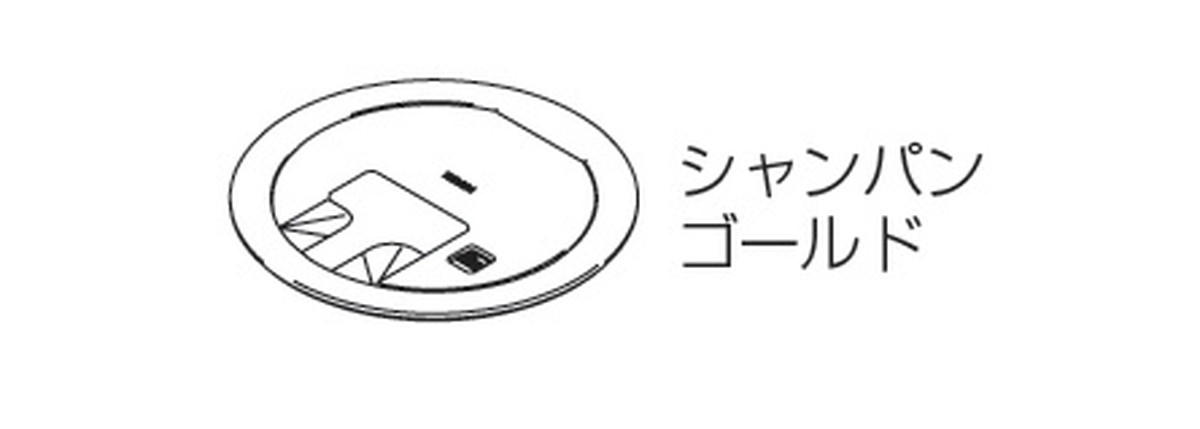 寺田電機製作所 LCR10000M020 プラグ収納 P\u003d89 シャンパンゴールド プレート TERADA
